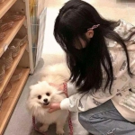 五元行天记手游