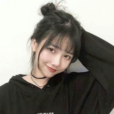 天才宠物美容院完整版下载